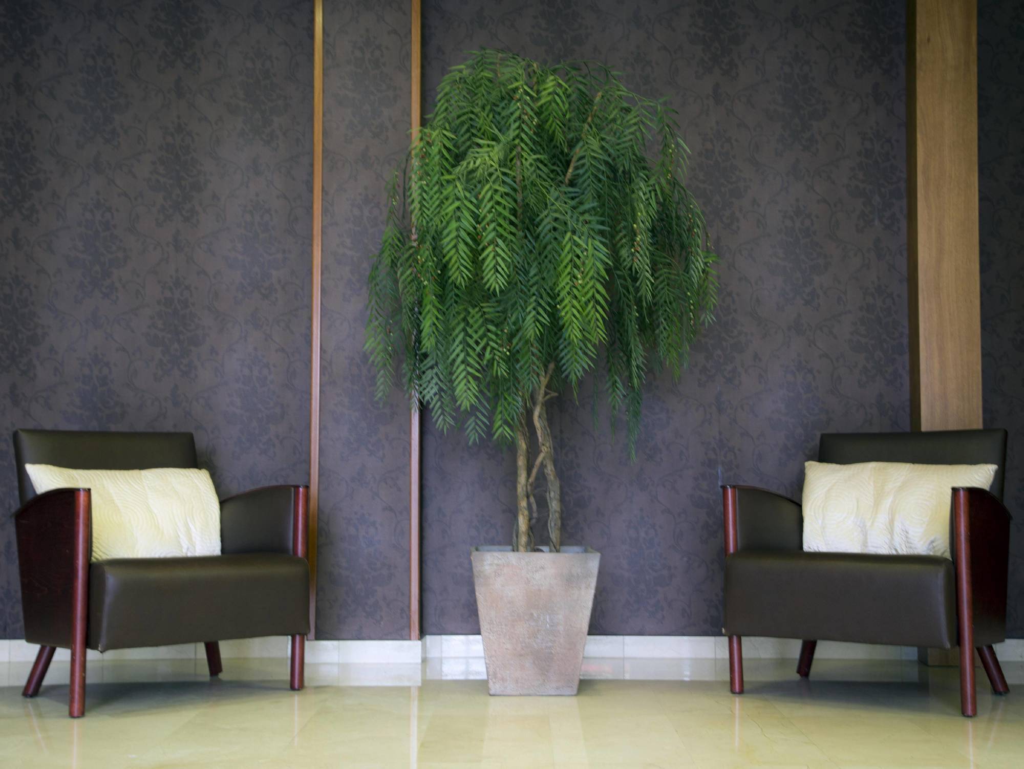 Bcn Urbaness Hotels Del Comte Barcelona Zewnętrze zdjęcie